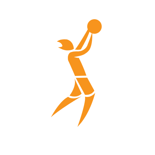 Logo Bola Basket 5x5